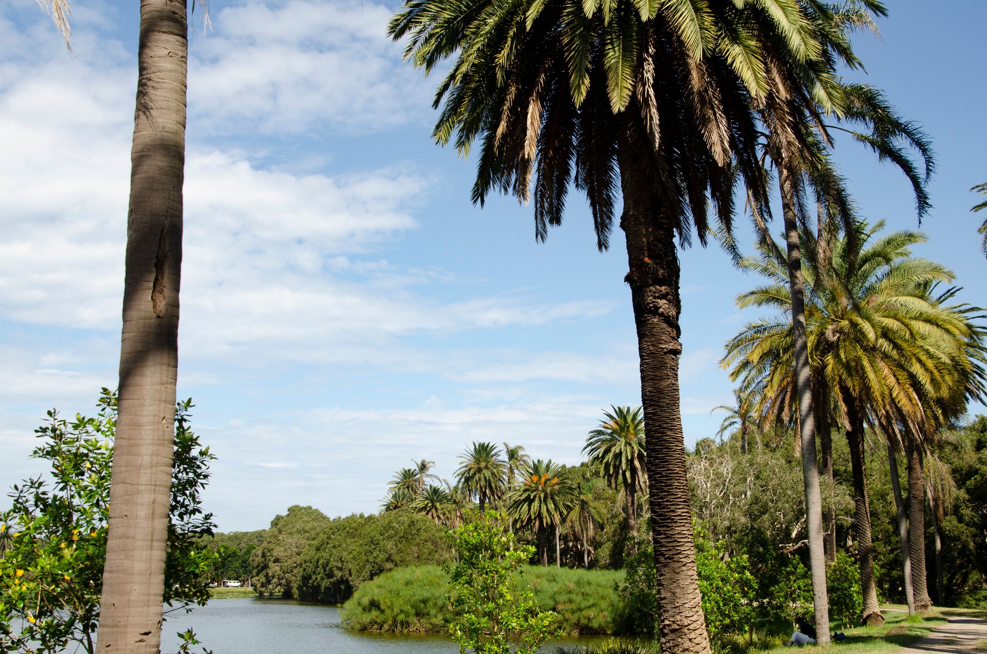 Pond, trees, path and big sky in Centennial Park, Sydney, Australia