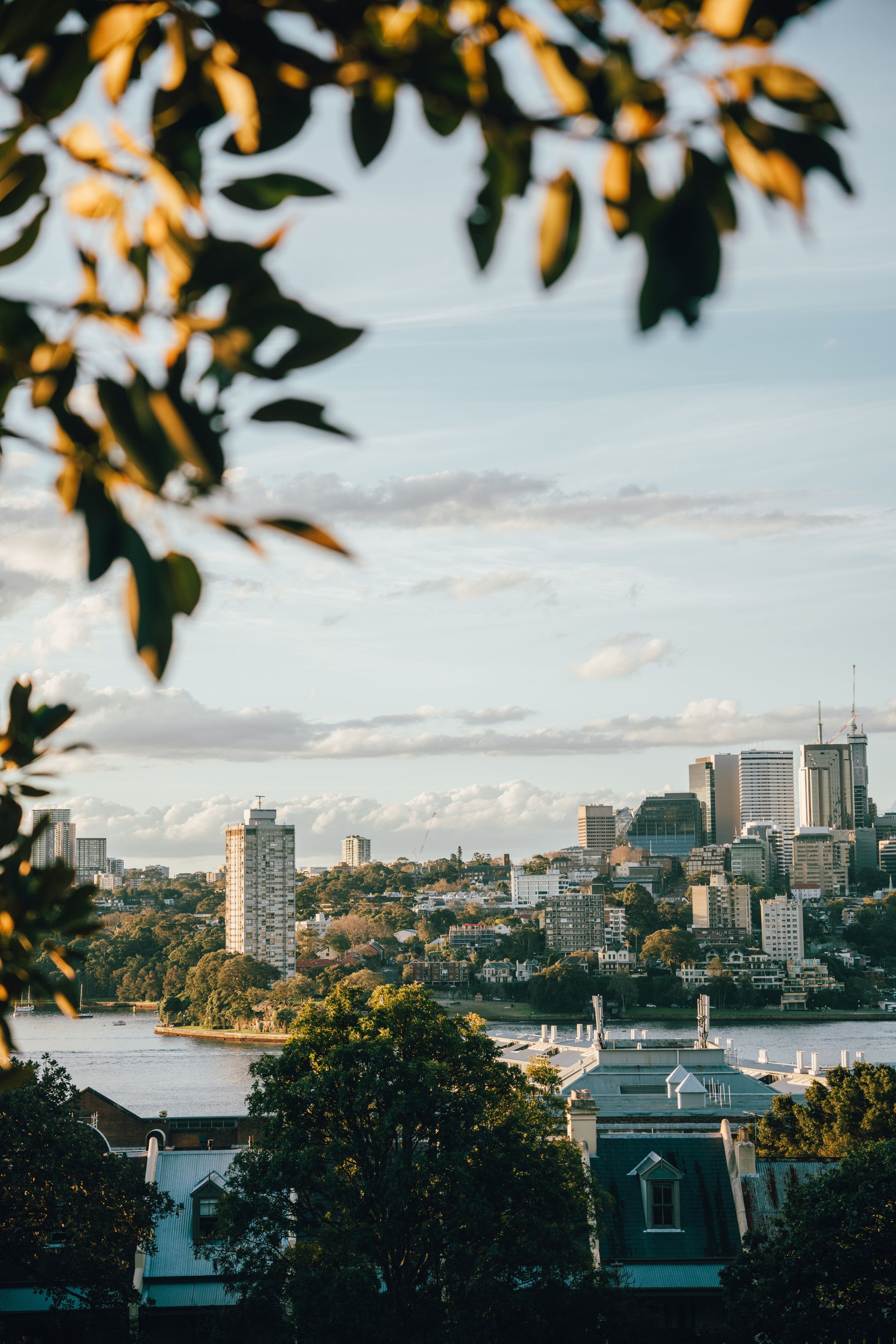 Sydney Skyline